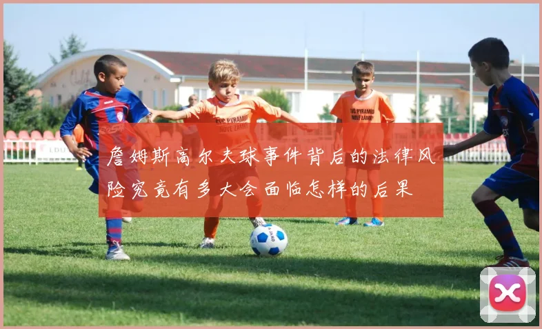 詹姆斯高尔夫球事件背后的法律风险究竟有多大会面临怎样的后果